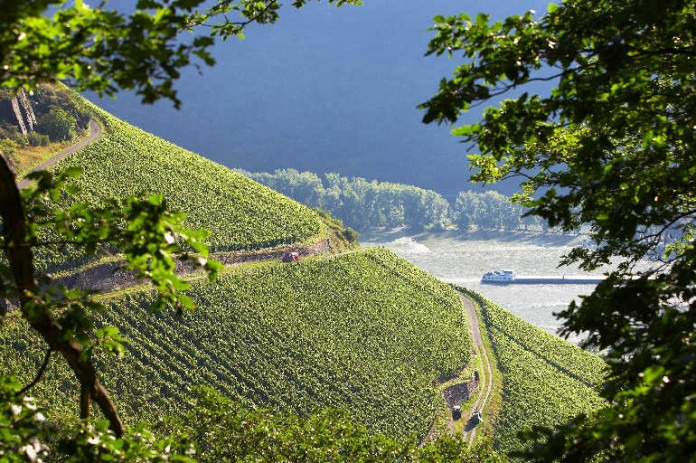 Der Verkehrsverein Bensheim lädt ein zum Bergsträßer Weintreff.